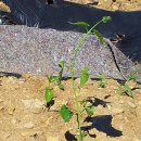 앙드레농장 이미지