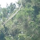 하늘 그리고 바다 민박 이미지