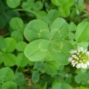 기를품은 이미지