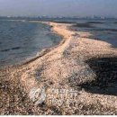 시화호수로 이미지