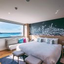 모텔QT | ✈️ 처음 가는 뉴질랜드 여행자라면 꼭 알아야 할 숙소 선택 팁 🏨(+숙소 추천)