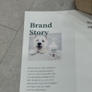 올리라피 | 강아지샴푸추천! 올리라피 반려동물 샴푸로 깨끗하고 건강하게