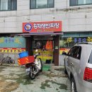 황제쟁반 이미지