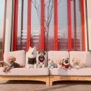 윤후동물병원 이미지