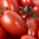 부자농장 이미지