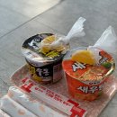 도심3리 소공원 | 자월도 여행 미우새 무인도 섬 배편 및 시설 소개