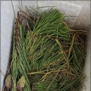 행복한맛집 이미지