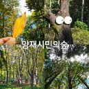 양재시민의숲역 4~5번출구 | 서울 가을 야외 데이트 한적한곳 양재시민의숲 산책
