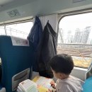 테마호텔 | 겨울 레고랜드 호텔 숙박후기 - 파이러츠 테마 프리미엄 파크뷰