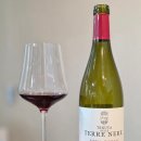 와인적색 | [공지] [중남부 이탈리아 스터디 2편] 이탈리아 남부 레드 5종 후기