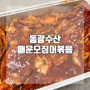 동광수산 매운오징어볶음 진미파김치 내돈내산 솔직후기