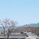 소나무수재찻집 | 충북 보은 고성 선씨 종가 선병국 가옥
