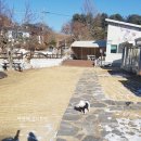 파트라슈 애견 펜션 이미지