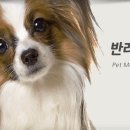 에이스동물메디컬센터