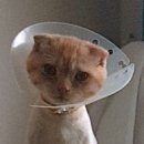 비슬동물병원 이미지