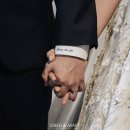 그렉앤맷포토그래피 이미지