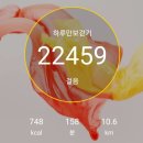 20241026 북한산보국문역-경국사-한규설가옥-정릉생태숲일대 이미지