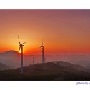 일출목장 이미지