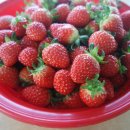 희수농장 이미지