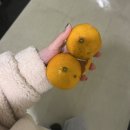 엘림 | 강남역마사지 제대로 받는 곳, 엘림피부경락 강남에스테틱 후기