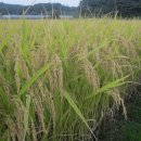 억새목욕탕 이미지