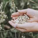 새싹슈퍼 이미지