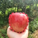 오복농장 이미지