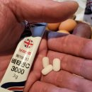 낫자닷컴 이미지