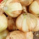 (주)다온팜 | 아이디어스 멤버십 4천원 쿠폰, 최소주문금액 없는 상품 추천 리스트 ✨