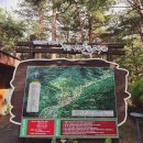 구정리 | 강릉 솔향수목원 [몸과 마음이 편해지는 강릉 힐링 장소] 수목원