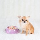 장유동물병원 이미지