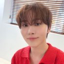 편식당 네이버블로그