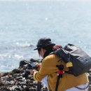 우체국 이팝나무 이미지