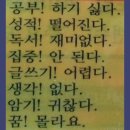 이산책방 이미지