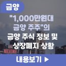 (주)금양 | 저도 금양 주주입니다.. 금양 주식 정보 및 상장폐지 현 상황과 전망