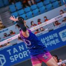 인삼월드