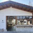 5819 | [담양 카페] 감성카페 ‘소예르’ 후기인데 고양이 사진첩이 됨