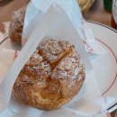 풍세로 | 천안 베이커리 카페 뚜쥬루 빵돌가마마을 빵지순례 코스 주말에 가본 후기