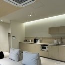 스테이 하냥 이미지