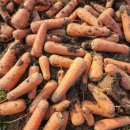 선명농장 이미지