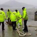 완도8호 이미지