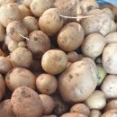 감자공인중개사사무소 이미지