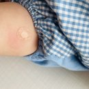 강소아청소년과의원 이미지