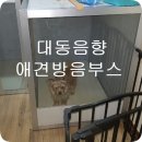 대동음향 이미지