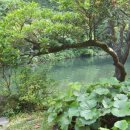 천지연랜드 이미지