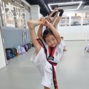 내리숲 경희 새한 태권도장 네이버블로그