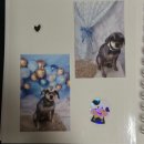 닥터표동물병원 이미지