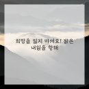 모아한의원 이미지