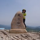 얼음골막걸리 이미지