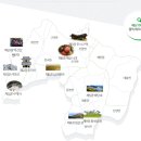 수덕사근역성보관 이미지